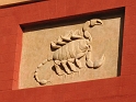 PALERME - jardin botanique (27)